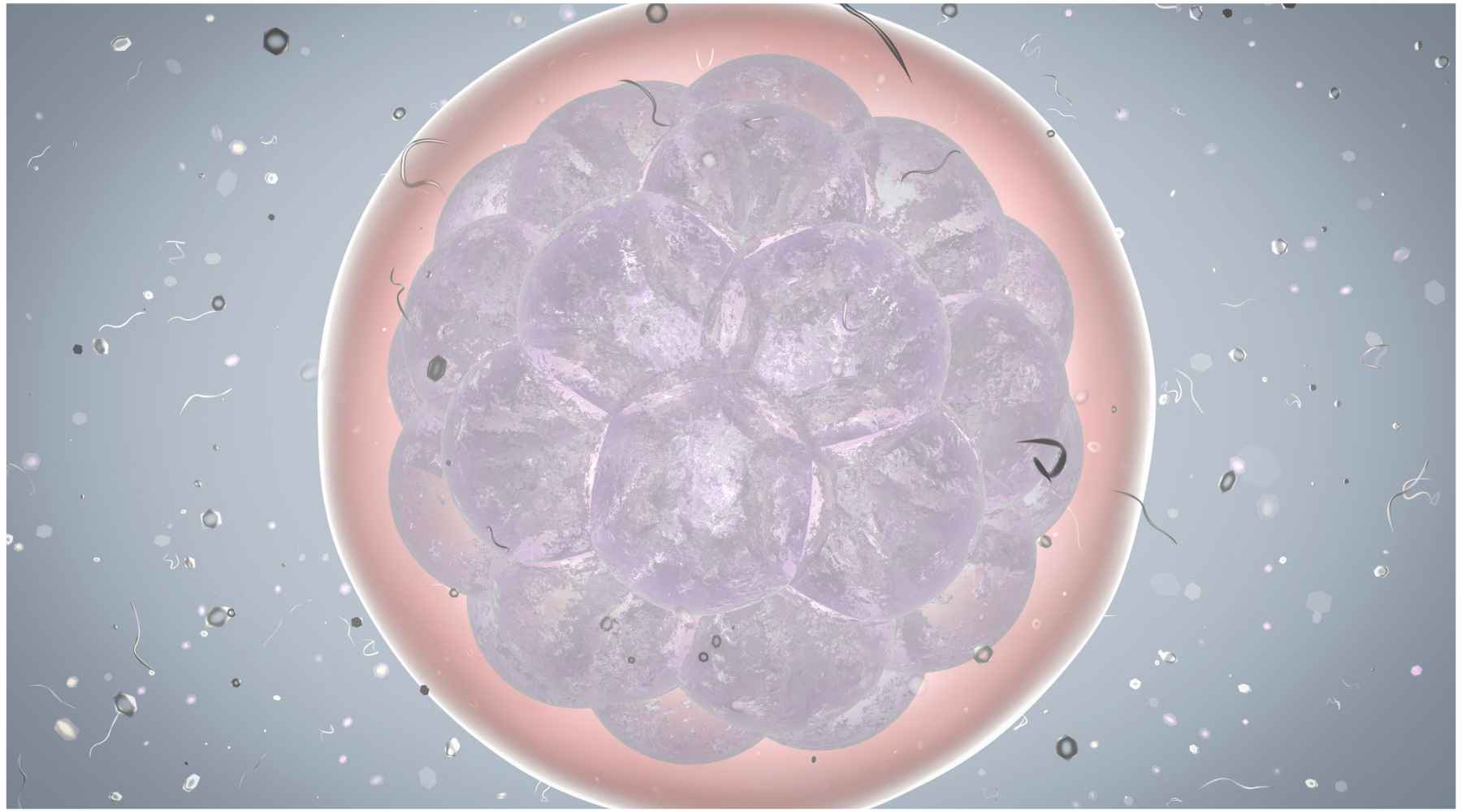 Do Infrared Saunas Produce HeatShock Proteins? Clearlight® Saunas